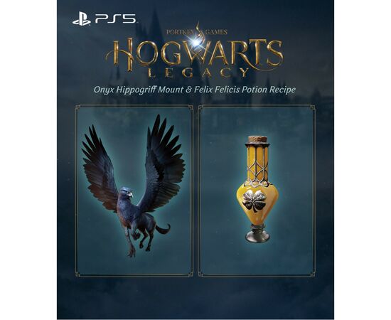 Игра Xbox Hogwarts Legacy, BD диск (5051895413449), изображение 12 Игра Xbox Hogwarts Legacy, BD диск (5051895413449), изображение 12