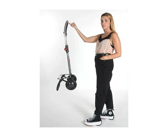 Сумка-тележка Rolser I-Max MF 2L 43 Burdeos (929649), изображение 12 Сумка-тележка Rolser I-Max MF 2L 43 Burdeos (929649), изображение 12