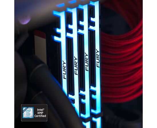 Модуль памяти для компьютера DDR4 16GB 3200 MHz Fury Renegade RGB Kingston Fury (ex.HyperX) (KF432C16RBAK2/16), изображение 8 Модуль памяти для компьютера DDR4 16GB 3200 MHz Fury Renegade RGB Kingston Fury (ex.HyperX) (KF432C16RBAK2/16), изображение 8
