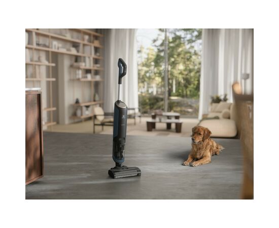 Пылесос Electrolux EW81U3DB, изображение 3 Пылесос Electrolux EW81U3DB, изображение 3