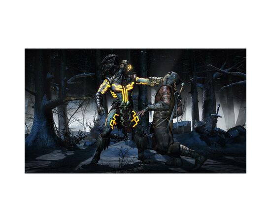 Гра Sony Mortal Kombat X (Хиты PlayStation) [Blu-Ray диск] (PSIV733), зображення 9