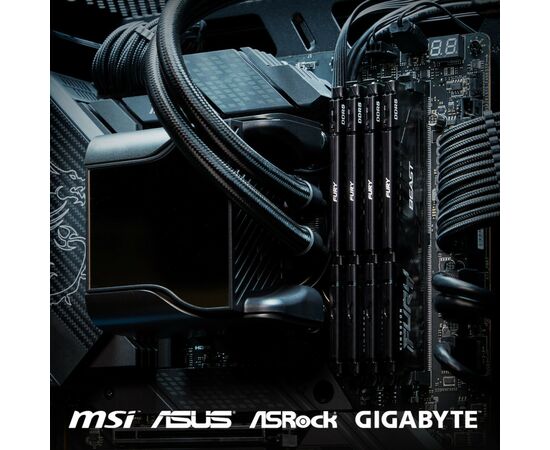 Модуль пам'яті для комп'ютера DDR5 16GB (2x8GB) 5600 MHz Beast Kingston Fury (ex.HyperX) (KF556C36BBEK2-16), зображення 8 Модуль пам'яті для комп'ютера DDR5 16GB (2x8GB) 5600 MHz Beast Kingston Fury (ex.HyperX) (KF556C36BBEK2-16), зображення 8