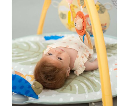Детский коврик Taf Toys музыкальный с дугами - Приключения на 360° (12785), изображение 12 Детский коврик Taf Toys музыкальный с дугами - Приключения на 360° (12785), изображение 12