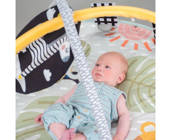 Детский коврик Taf Toys музыкальный с дугами - Приключения на 360° (12785), изображение 9 Детский коврик Taf Toys музыкальный с дугами - Приключения на 360° (12785), изображение 9