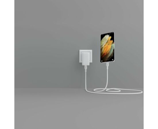 Дата кабель USB 2.0 AM to Type-C 1.0m white Belkin (CAB009BT1MWH), изображение 4 Дата кабель USB 2.0 AM to Type-C 1.0m white Belkin (CAB009BT1MWH), изображение 4