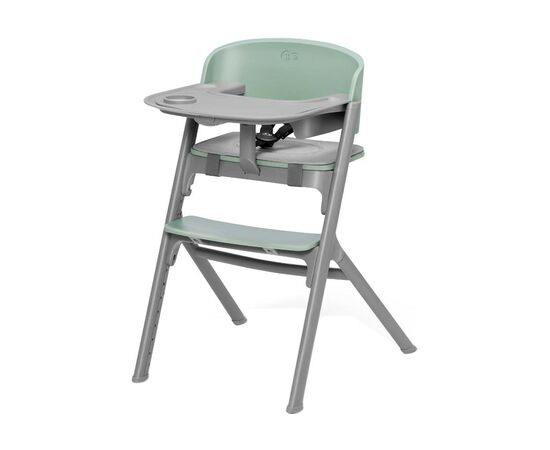 Стульчик для кормления Kinderkraft Livy Olive Green (5902533919628)
