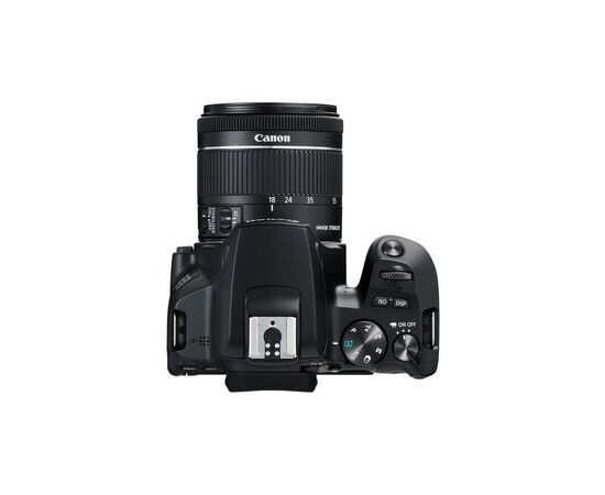 Цифровой фотоаппарат Canon EOS 250D kit 18-55 IS STM Black (3454C007), изображение 7 Цифровой фотоаппарат Canon EOS 250D kit 18-55 IS STM Black (3454C007), изображение 7