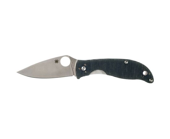 Ніж Spyderco Polestar (C220GPGY)