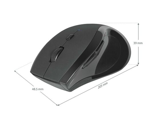 Мышка Defender Accura MM-295 Black (52295), изображение 4 Мышка Defender Accura MM-295 Black (52295), изображение 4