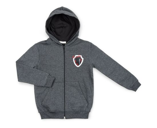 Кофта Breeze на блискавці (11785-152B-gray)
