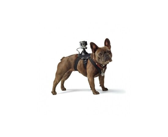 Аксессуар к экшн-камерам GoPro Fetch (ADOGM-001), изображение 2 Аксессуар к экшн-камерам GoPro Fetch (ADOGM-001), изображение 2