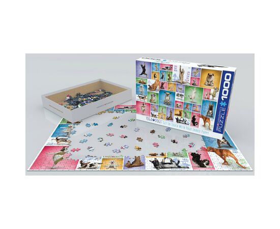 Пазл Eurographics Йога. Собаки 1000 элементов (6000-0954), изображение 2 Пазл Eurographics Йога. Собаки 1000 элементов (6000-0954), изображение 2
