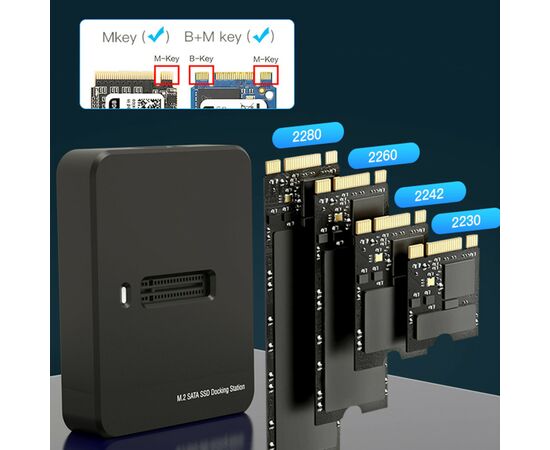Док-станція для накопичувачів Gembird USB Type-C M.2 SATA NVME SSD (DD-U3M2), зображення 3 Док-станція для накопичувачів Gembird USB Type-C M.2 SATA NVME SSD (DD-U3M2), зображення 3