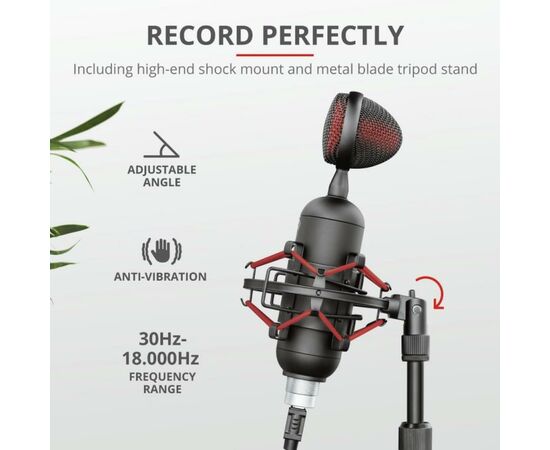 Мікрофон Trust GXT 244 Buzz USB Streaming Microphone Black (23466), зображення 8 Мікрофон Trust GXT 244 Buzz USB Streaming Microphone Black (23466), зображення 8