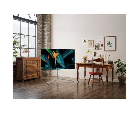 Телевизор LG OLED65G16LA, изображение 12 Телевизор LG OLED65G16LA, изображение 12