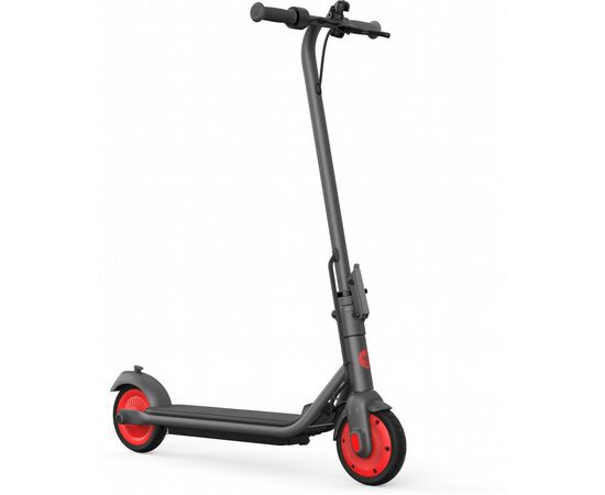 Электросамокат Segway Ninebot C20, Black (AA.00.0011.54), изображение 2