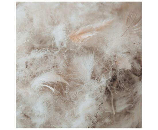 Одеяло MirSon пуховое Raffaello 053 зима+ 220x240 см (2200005895061), изображение 3 Одеяло MirSon пуховое Raffaello 053 зима+ 220x240 см (2200005895061), изображение 3