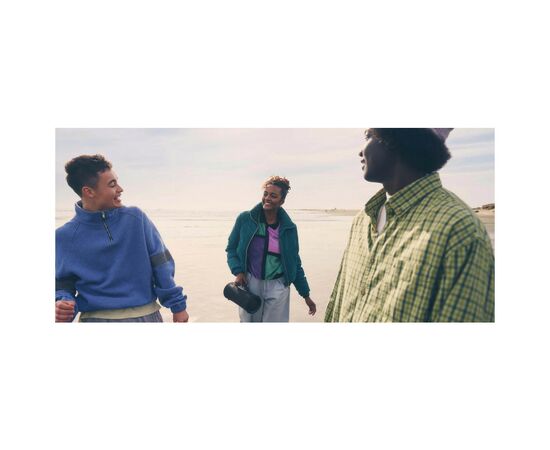 Акустическая система Sony SRS-XG300 Grey (SRSXG300H.RU4), изображение 12 Акустическая система Sony SRS-XG300 Grey (SRSXG300H.RU4), изображение 12