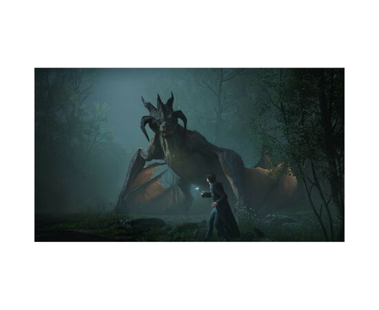 Игра Sony Hogwarts Legacy, BD диск (5051895413425), изображение 4 Игра Sony Hogwarts Legacy, BD диск (5051895413425), изображение 4