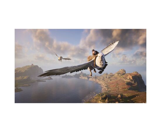 Игра Sony Hogwarts Legacy, BD диск (5051895413425), изображение 6 Игра Sony Hogwarts Legacy, BD диск (5051895413425), изображение 6