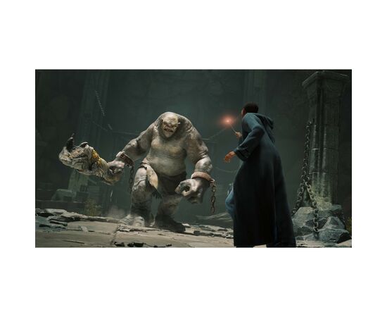 Игра Sony Hogwarts Legacy, BD диск (5051895413425), изображение 7 Игра Sony Hogwarts Legacy, BD диск (5051895413425), изображение 7