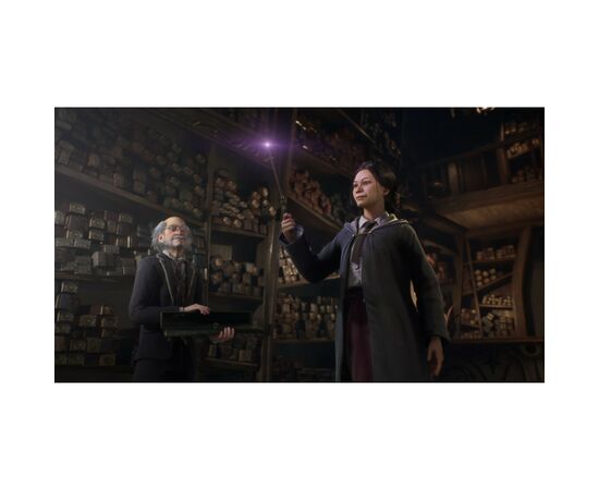 Игра Sony Hogwarts Legacy, BD диск (5051895413425), изображение 8 Игра Sony Hogwarts Legacy, BD диск (5051895413425), изображение 8