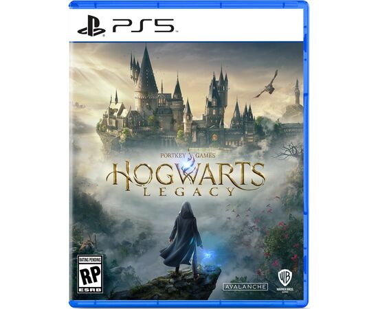 Игра Sony Hogwarts Legacy, BD диск (5051895413425)