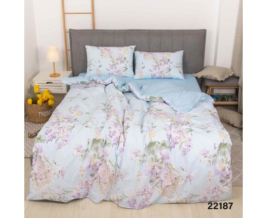 Постельное белье Isleep 22187 ранфорс евро (22187_ev_isleep)