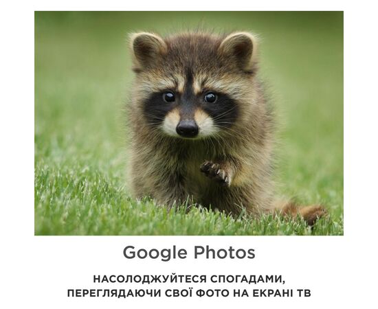 Телевизор IFFALCON IFF50U62, изображение 6 Телевизор IFFALCON IFF50U62, изображение 6