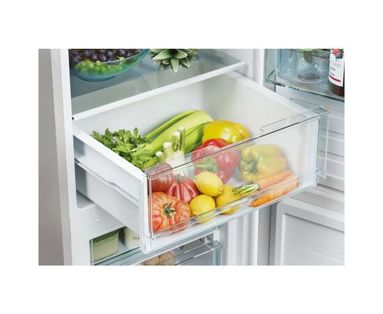 Холодильник Candy CCT3L517FS, изображение 6 Холодильник Candy CCT3L517FS, изображение 6