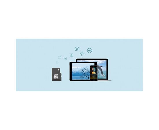 Маршрутизатор TP-Link M7450, изображение 11 Маршрутизатор TP-Link M7450, изображение 11