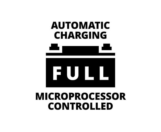 Пуско зарядное устройство Einhell CE-BC 30 M, 12/24 В, 3-600 А/г, макс. 30А (1002275), изображение 6