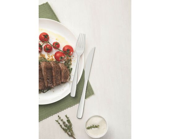 Столовая вилка Tramontina Amazonas 1 шт (63960/020), изображение 11 Столовая вилка Tramontina Amazonas 1 шт (63960/020), изображение 11