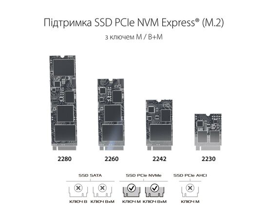Карман внешний ASUS SSD M.2 PCIe NVMe STRIX ARION ESD-S1C/BLK/G/AS USB 3.1 Gen2 (ESD-S1C/BLK/G/AS), изображение 4 Карман внешний ASUS SSD M.2 PCIe NVMe STRIX ARION ESD-S1C/BLK/G/AS USB 3.1 Gen2 (ESD-S1C/BLK/G/AS), изображение 4