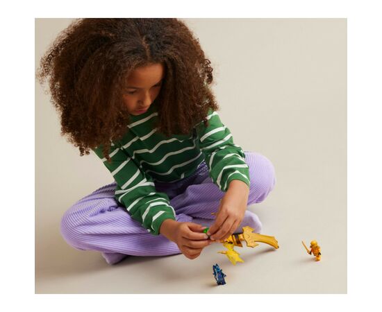Конструктор LEGO NINJAGO Атака восставшего дракона Арина 27 деталей (71803), изображение 5 Конструктор LEGO NINJAGO Атака восставшего дракона Арина 27 деталей (71803), изображение 5