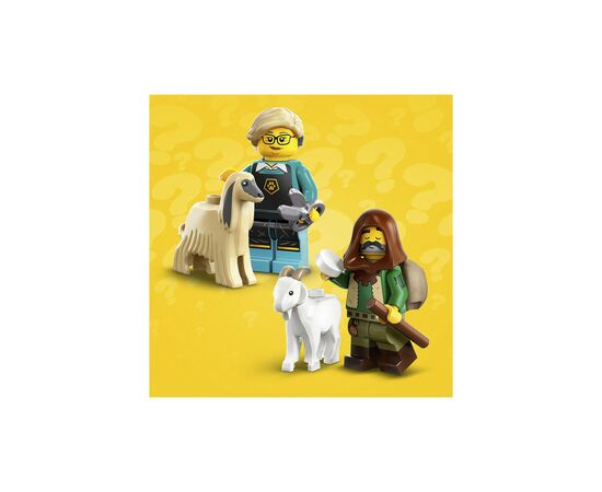 Конструктор LEGO Minifigures серия 25, 9 деталей (71045), изображение 7 Конструктор LEGO Minifigures серия 25, 9 деталей (71045), изображение 7