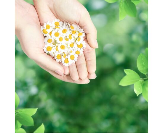 Гигиенические прокладки Naturella Ultra Maxi Quatro 32 шт (4084500844483), изображение 9 Гигиенические прокладки Naturella Ultra Maxi Quatro 32 шт (4084500844483), изображение 9