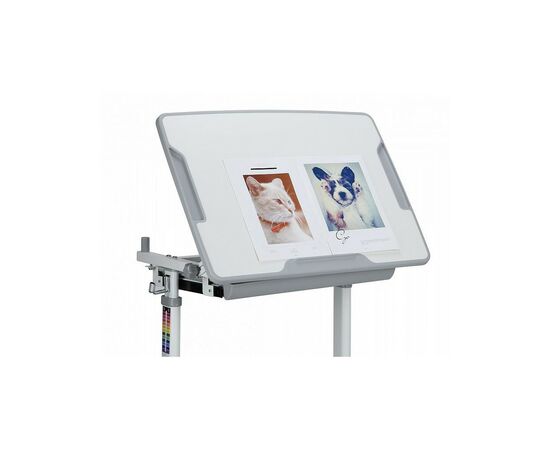 Парта со стулом Evo-kids Evo-06 Pink, изображение 3 Парта со стулом Evo-kids Evo-06 Pink, изображение 3