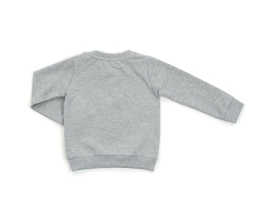 Набор детской одежды Breeze с тигриком (14730-92B-gray), изображение 5 Набор детской одежды Breeze с тигриком (14730-92B-gray), изображение 5