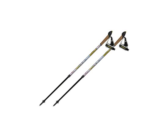 Палки для скандинавської ходи Vipole Vario Top-Click Lady Flower (921863)