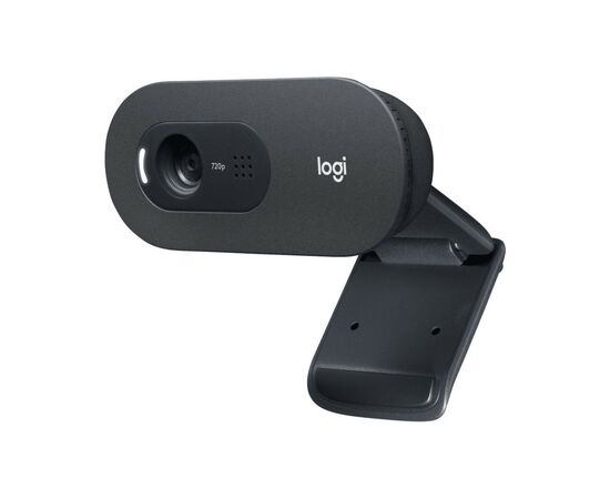 Веб-камера Logitech C505e HD (960-001372)