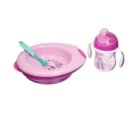 Набор детской посуды Chicco Meal Set 6 м + розовый (16200.11)