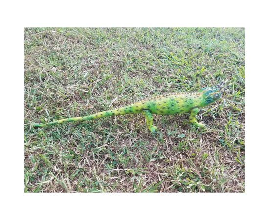 Фигурка Lanka Novelties Хамелеон Джексона, 58 см (21548), изображение 3 Фигурка Lanka Novelties Хамелеон Джексона, 58 см (21548), изображение 3