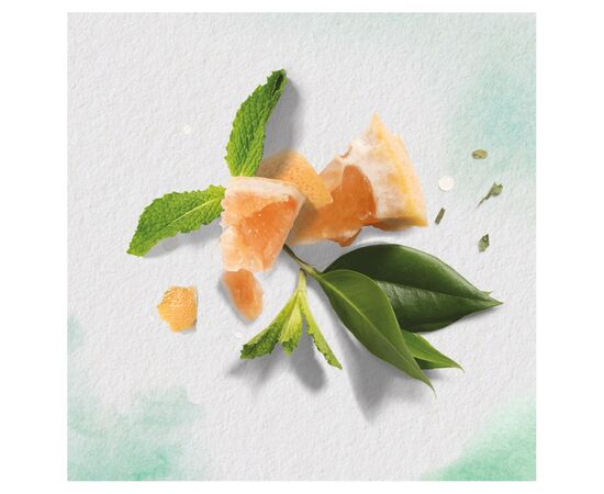Шампунь Herbal Essences Белый грейпфрут и мята 400 мл (8006540318492), изображение 4 Шампунь Herbal Essences Белый грейпфрут и мята 400 мл (8006540318492), изображение 4
