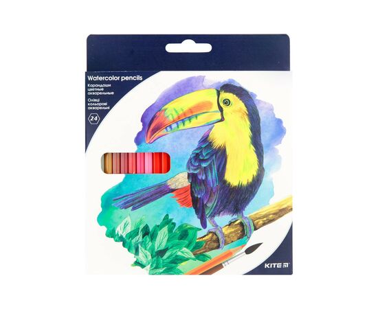 Олівці кольорові Kite Птахи акварельні 24 кольорів (K18-1050)