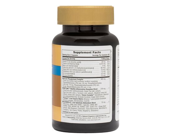 Витаминно-минеральный комплекс Natures Plus Комплекс Для Поддержки Мозга, AgeLoss Brain Support, 60 кап (NTP8011), изображение 2 Витаминно-минеральный комплекс Natures Plus Комплекс Для Поддержки Мозга, AgeLoss Brain Support, 60 кап (NTP8011), изображение 2