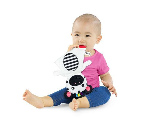 Развивающая игрушка Baby Einstein Zen the Zebra (12490), изображение 4 Развивающая игрушка Baby Einstein Zen the Zebra (12490), изображение 4