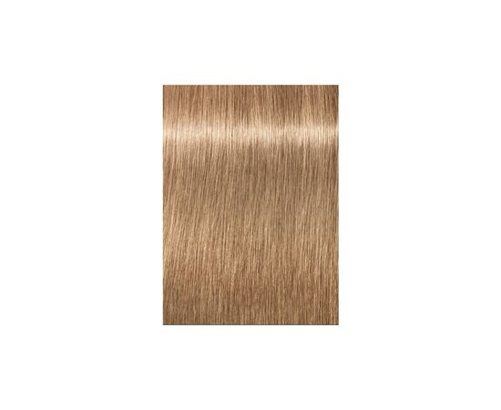 Фарба для волосся Schwarzkopf Professional Igora Royal Disheveled Nudes 9-481 60 мл (4045787420333), зображення 2 Фарба для волосся Schwarzkopf Professional Igora Royal Disheveled Nudes 9-481 60 мл (4045787420333), зображення 2
