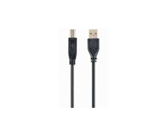 Кабель для принтера USB 2.0 AM/BM 1.8m Cablexpert (CCBP-USB2-AMBM-6), изображение 2 Кабель для принтера USB 2.0 AM/BM 1.8m Cablexpert (CCBP-USB2-AMBM-6), изображение 2