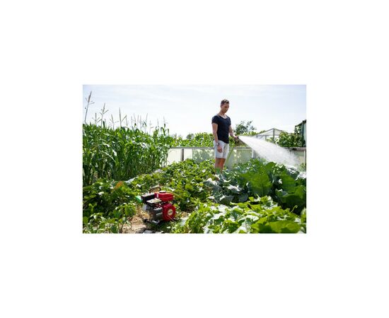 Мотопомпа AL-KO BMP 14001 (113793), изображение 3 Мотопомпа AL-KO BMP 14001 (113793), изображение 3